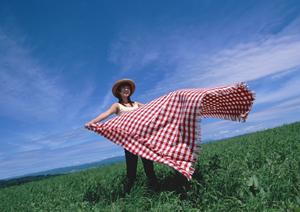 クリーニングもできるカリモクのチェア