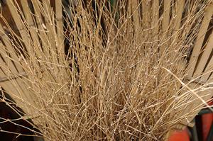 フライヤー印刷活用の見落としがちなこと