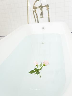 再エネルギーの未来を拓く！エンジニアのための太陽光発電とPPAの活用法