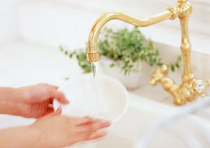 大阪で剪定をお考えの方へオススメします